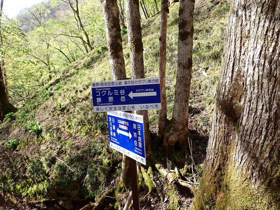 P5050690_mid.jpg