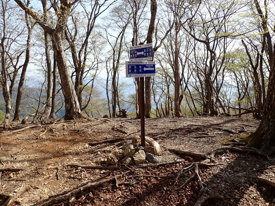 P5050691_mid.jpg