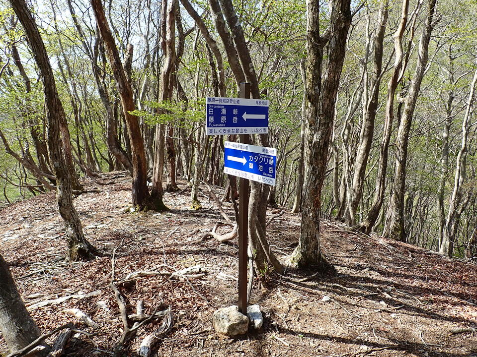 P5050709_mid.jpg