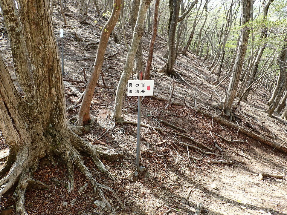 P5050715_mid.jpg