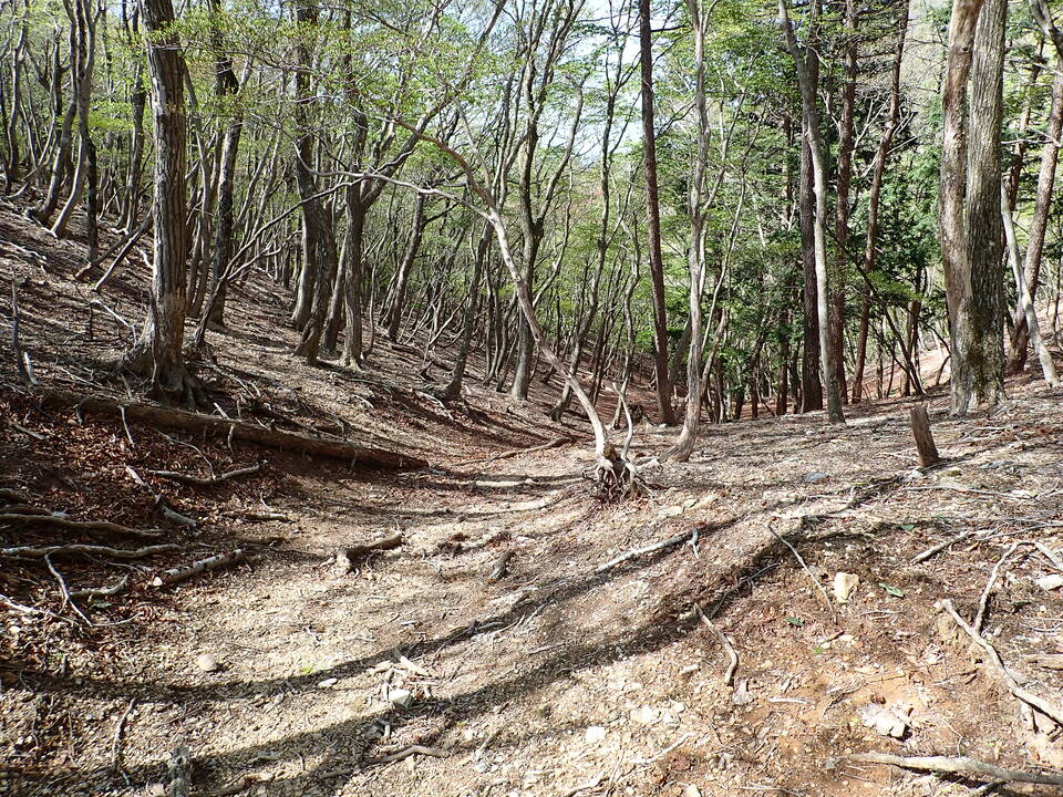 P5050716_mid.jpg