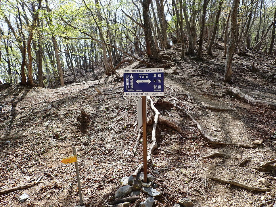 P5050717_mid.jpg