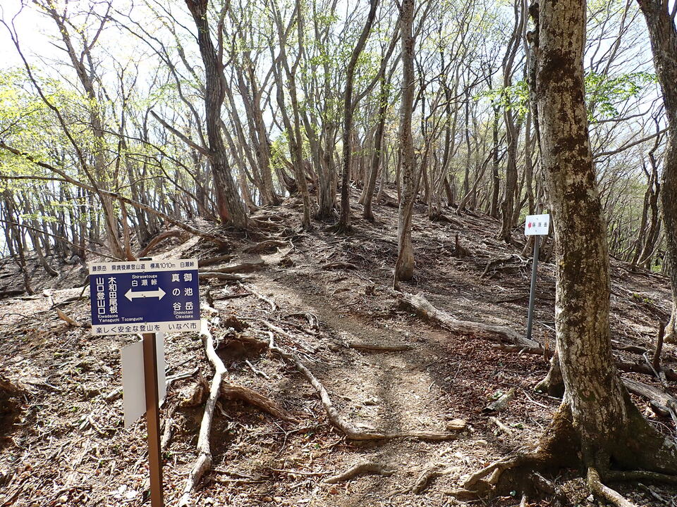 P5050718_mid.jpg
