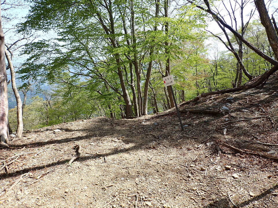 P5050719_mid.jpg