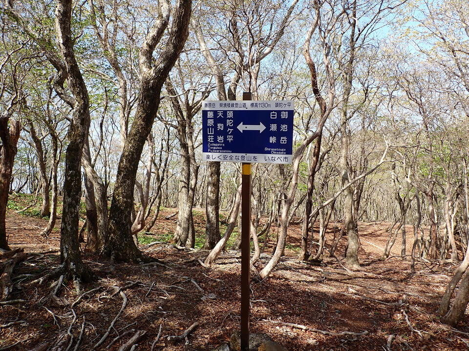 P5050723_mid.jpg