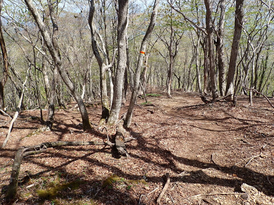 P5050726_mid.jpg