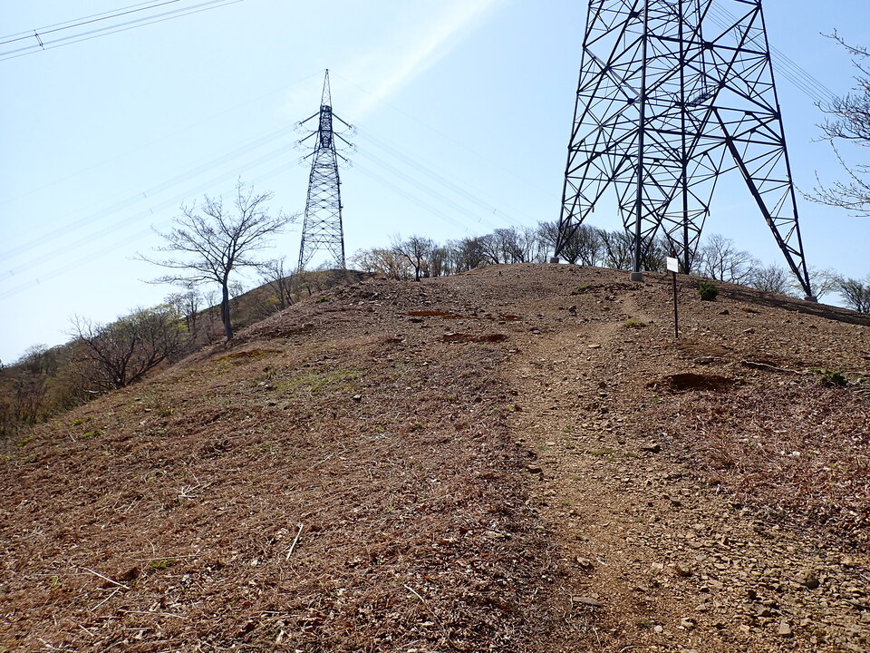 P5050730_mid.jpg