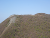 P5050735_thumb.png