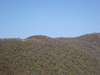 P5050736_thumb.png