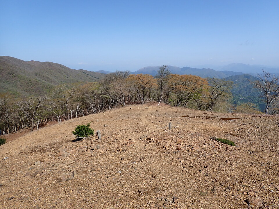 P5050739_mid.jpg