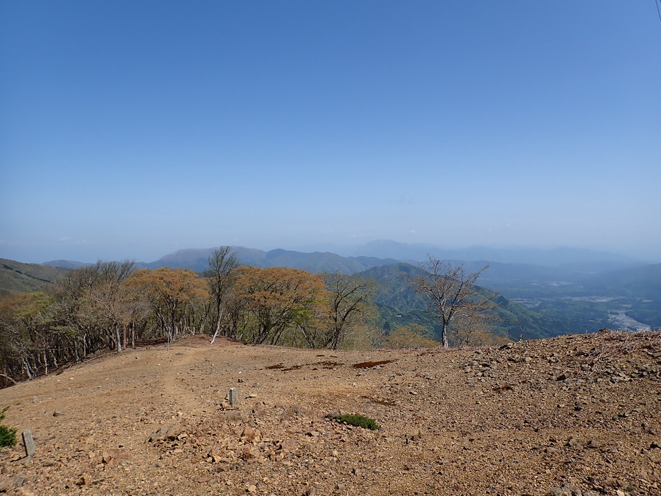 P5050741_mid.jpg
