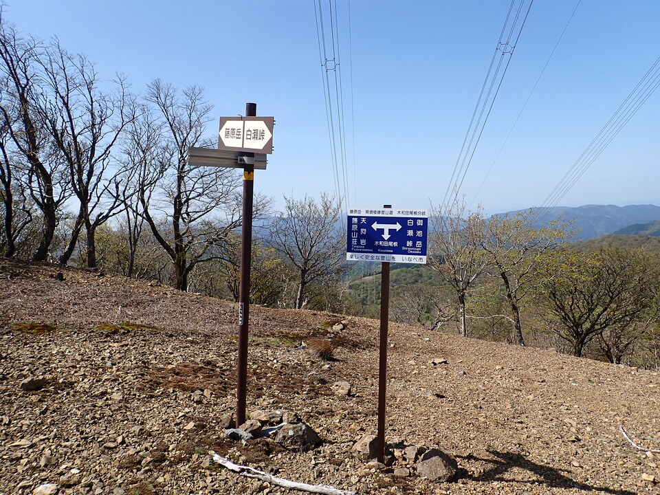 P5050743_mid.jpg