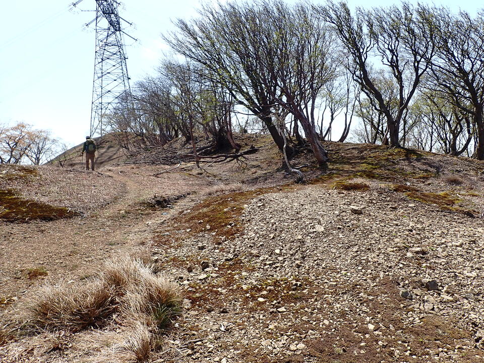 P5050744_mid.jpg