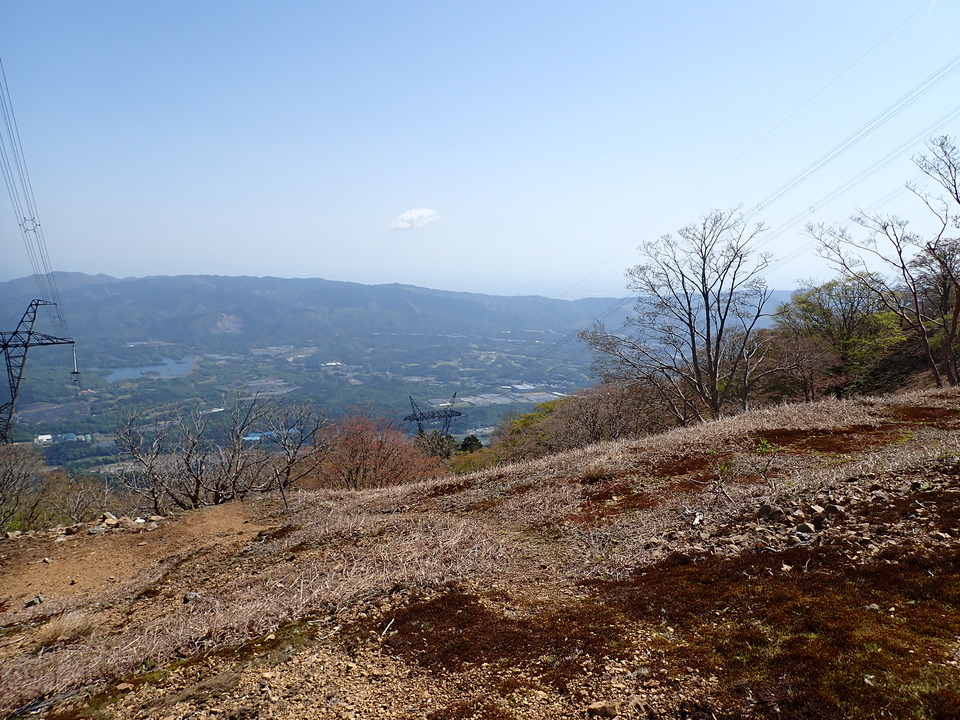P5050746_mid.jpg