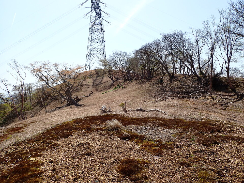 P5050747_mid.jpg