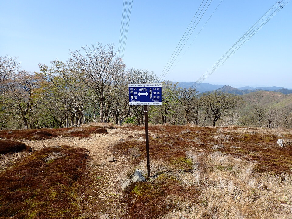 P5050748_mid.jpg