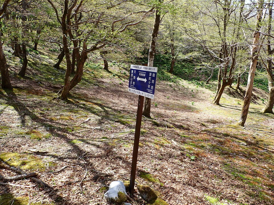 P5050754_mid.jpg