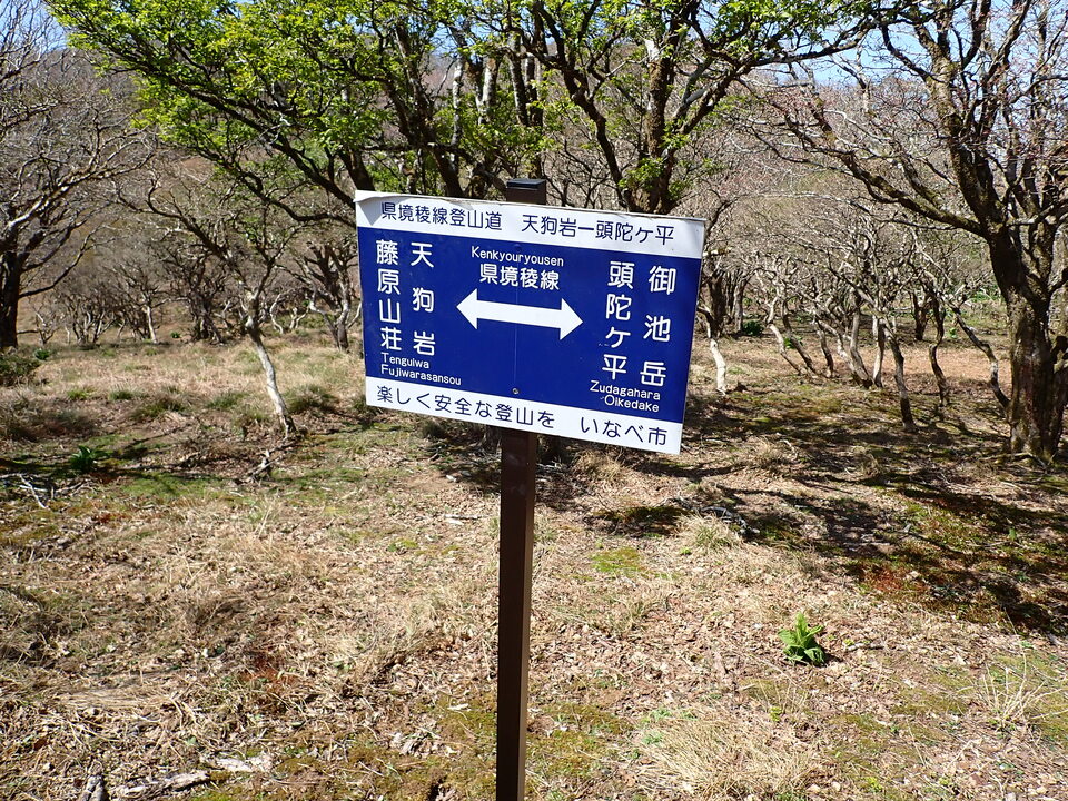 P5050759_mid.jpg