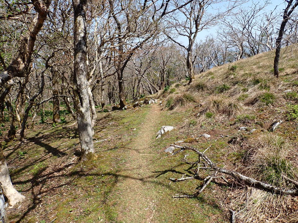 P5050763_mid.jpg