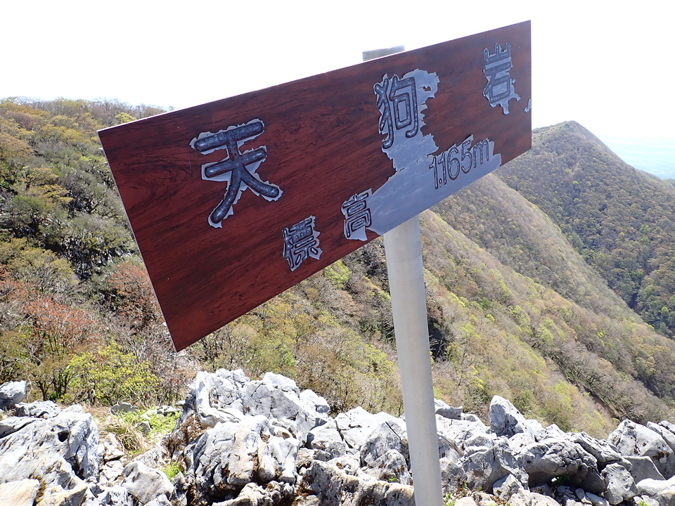 P5050766_mid.jpg