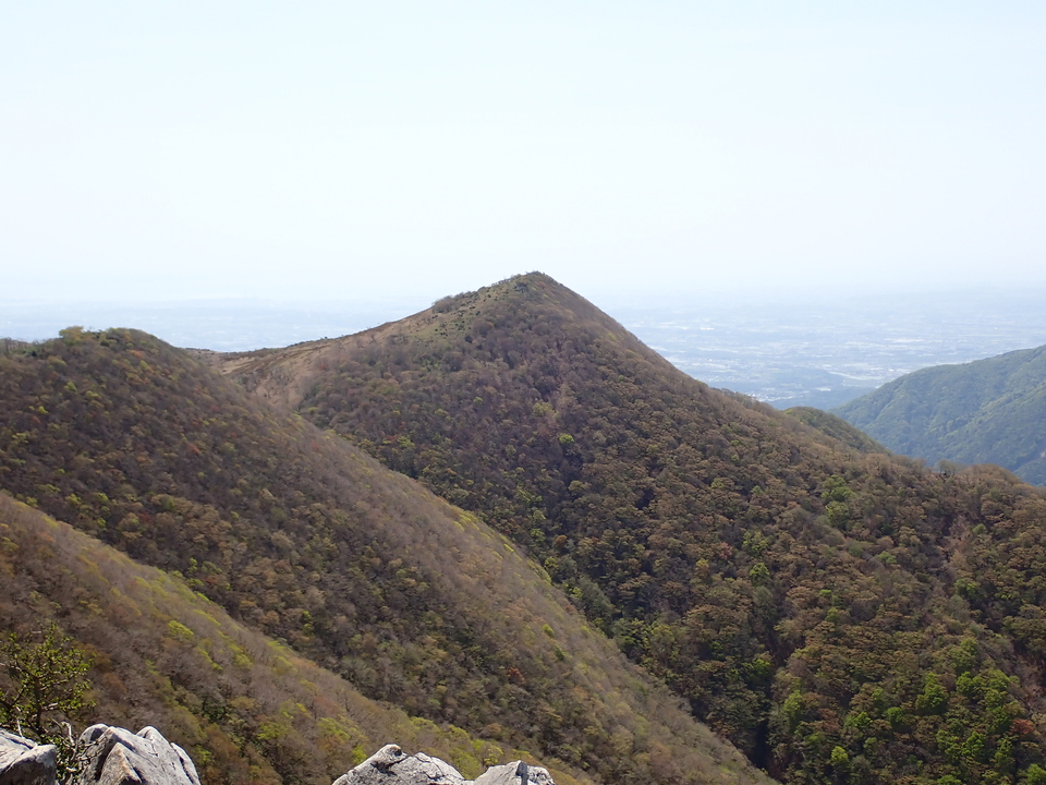P5050767_mid.jpg