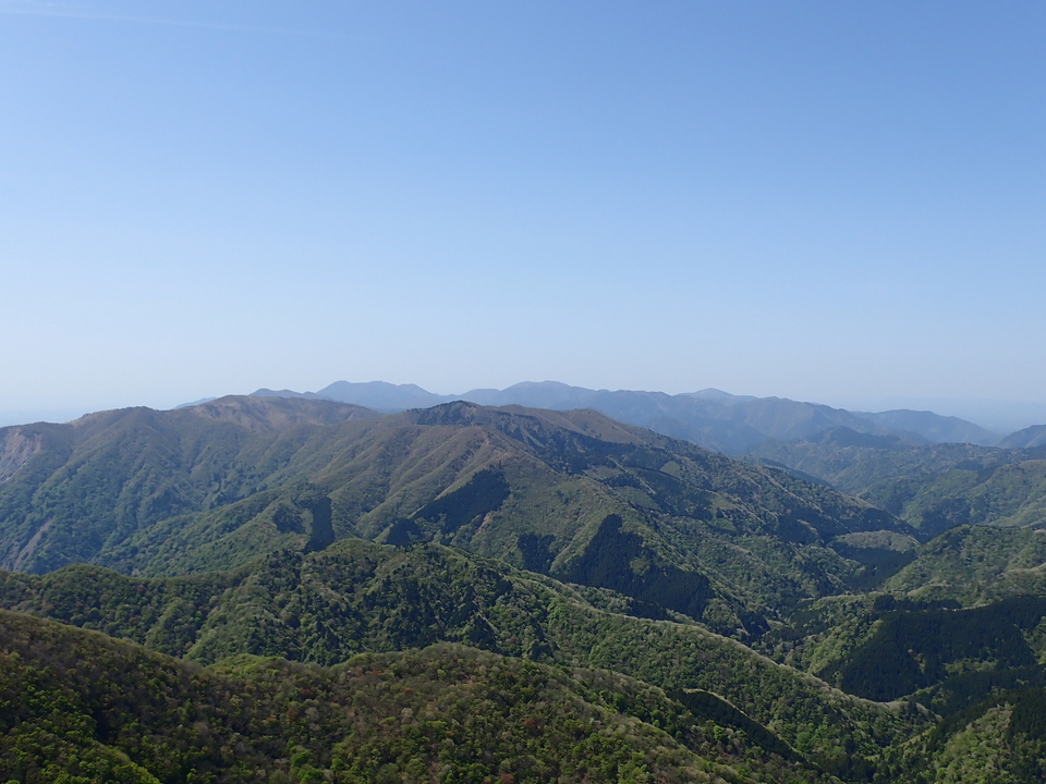P5050769_mid.jpg