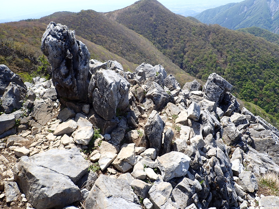 P5050771_mid.jpg