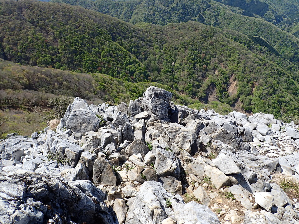 P5050774_mid.jpg
