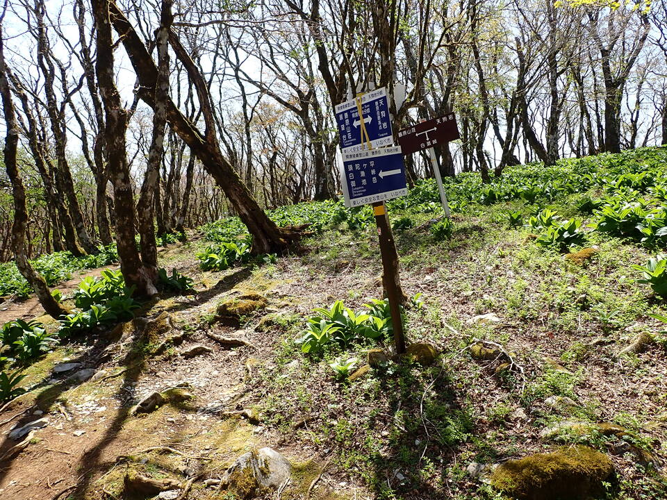 P5050776_mid.jpg