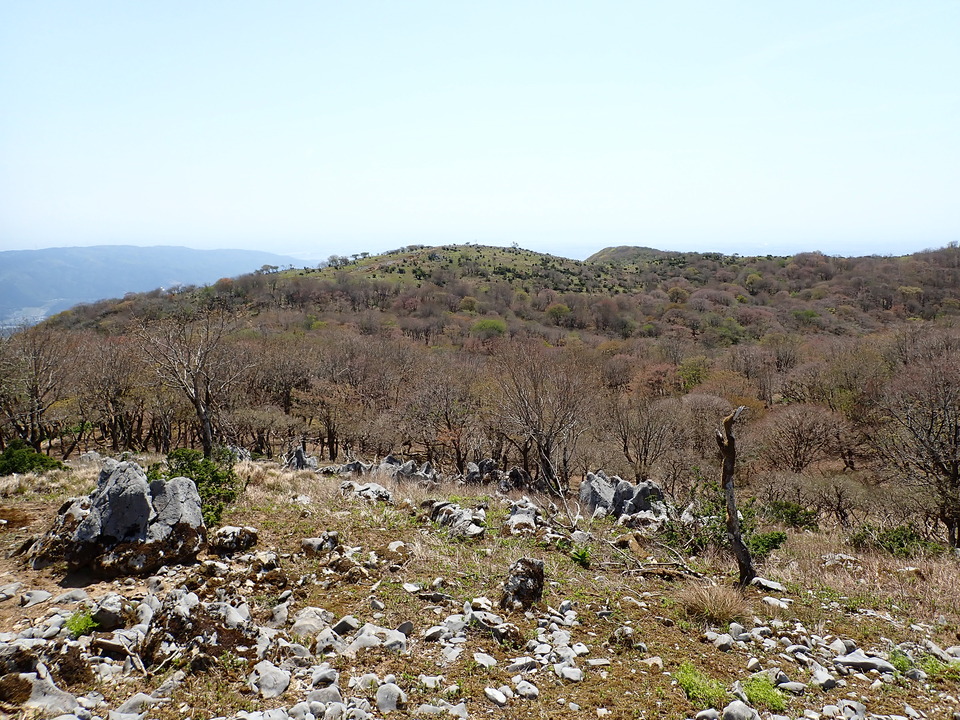 P5050780_mid.jpg