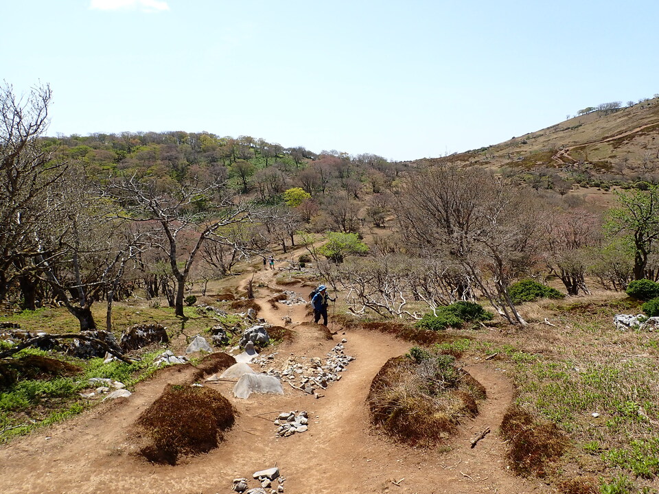P5050795_mid.jpg