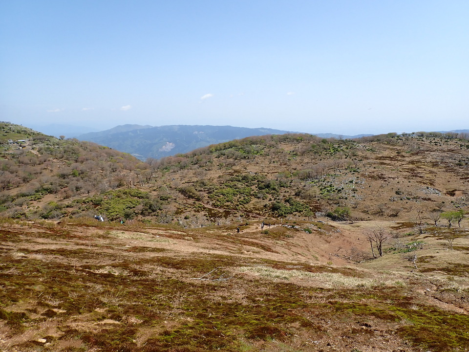 P5050799_mid.jpg