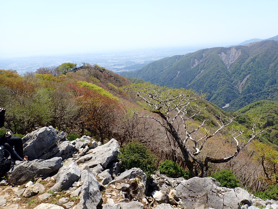 P5050807_mid.jpg