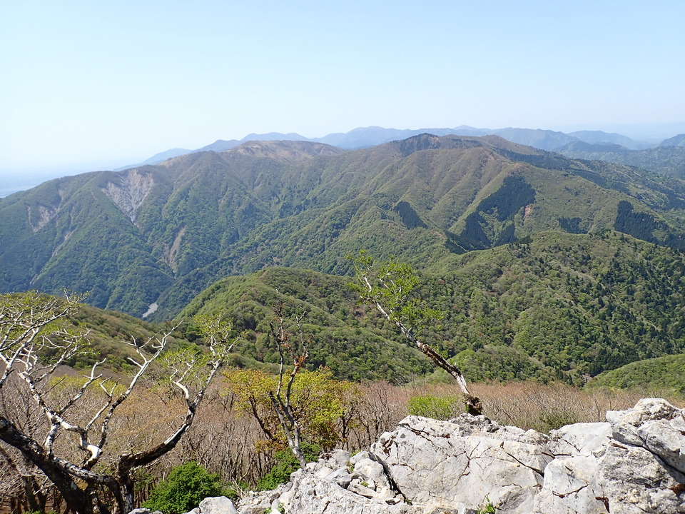 P5050808_mid.jpg