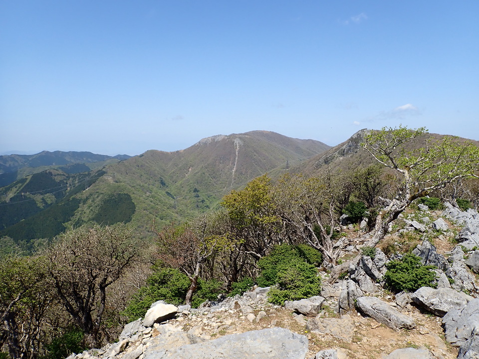 P5050810_mid.jpg