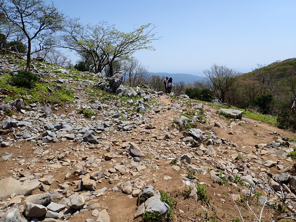 P5050816_mid.jpg