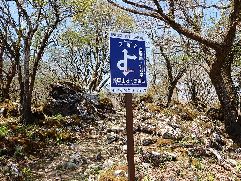 P5050818_mid.jpg
