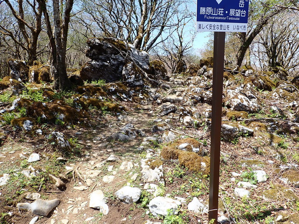P5050819_mid.jpg