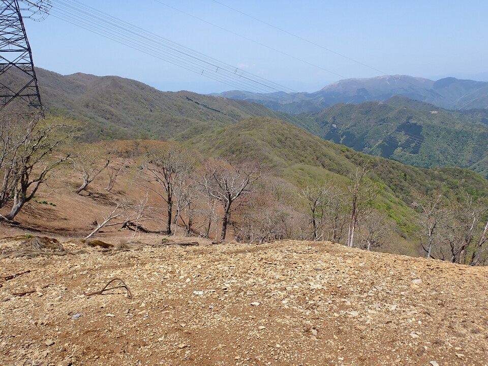 P5050827_mid.jpg