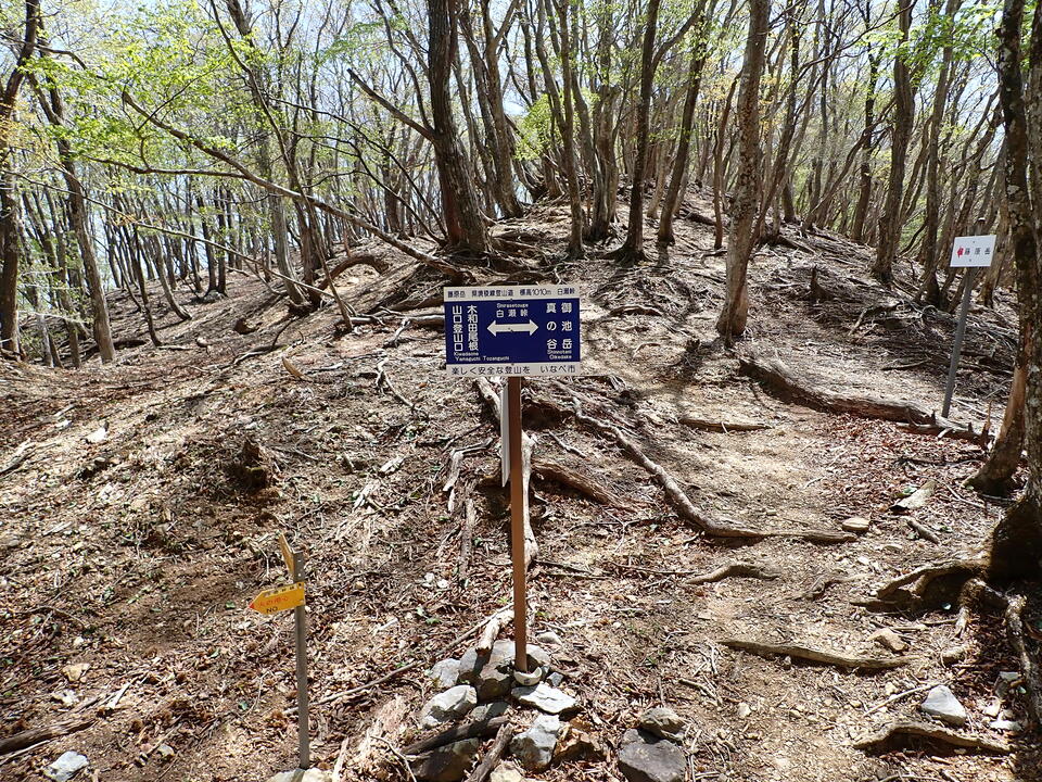 P5050828_mid.jpg