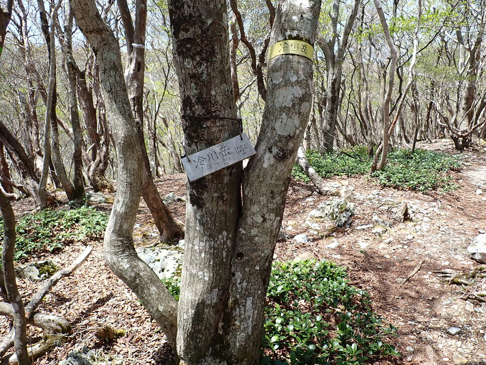 P5050830_mid.jpg
