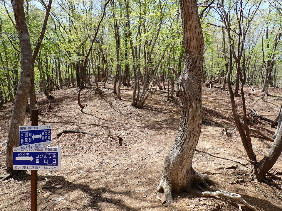 P5050833_mid.jpg
