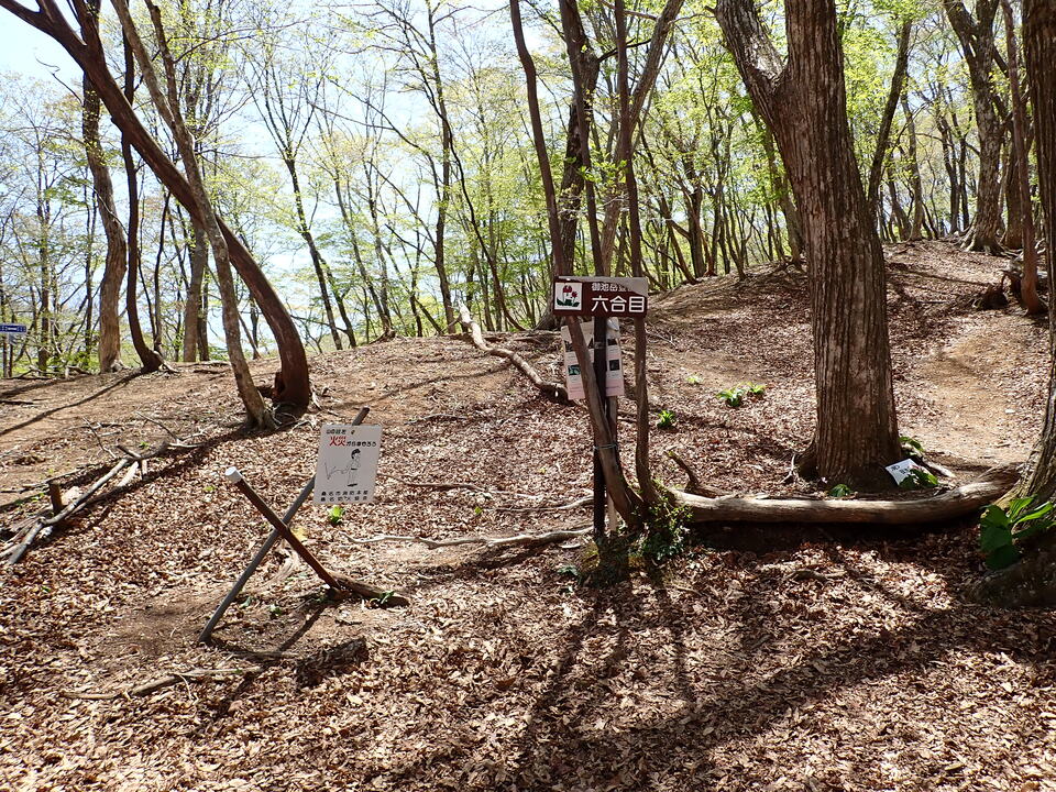 P5050836_mid.jpg