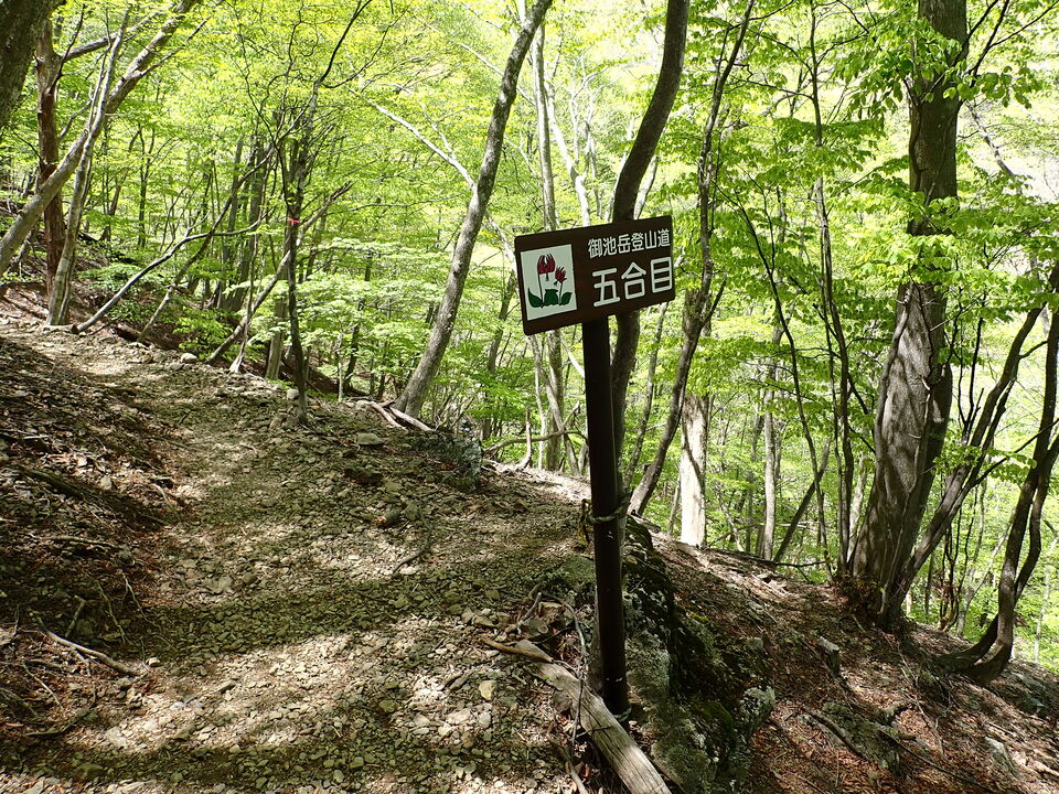 P5050840_mid.jpg