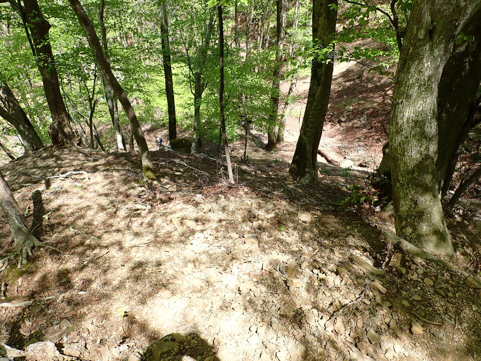 P5050847_mid.jpg