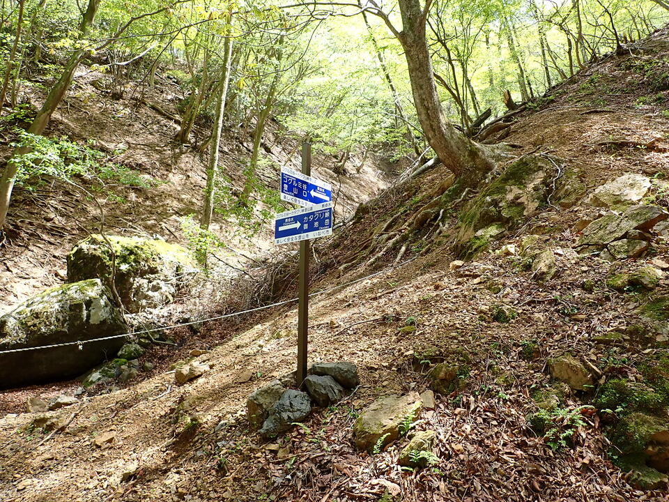 P5050848_mid.jpg