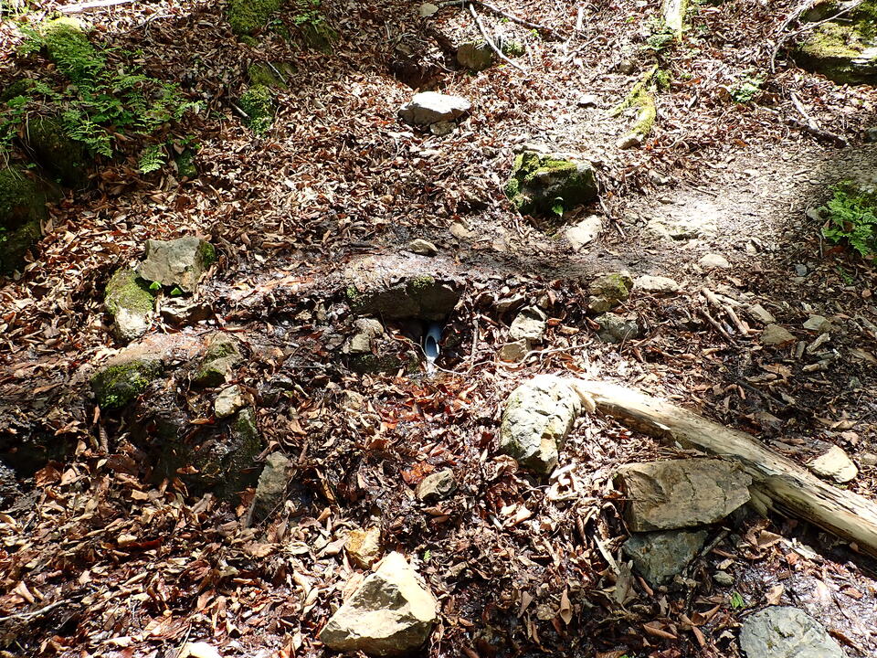 P5050849_mid.jpg