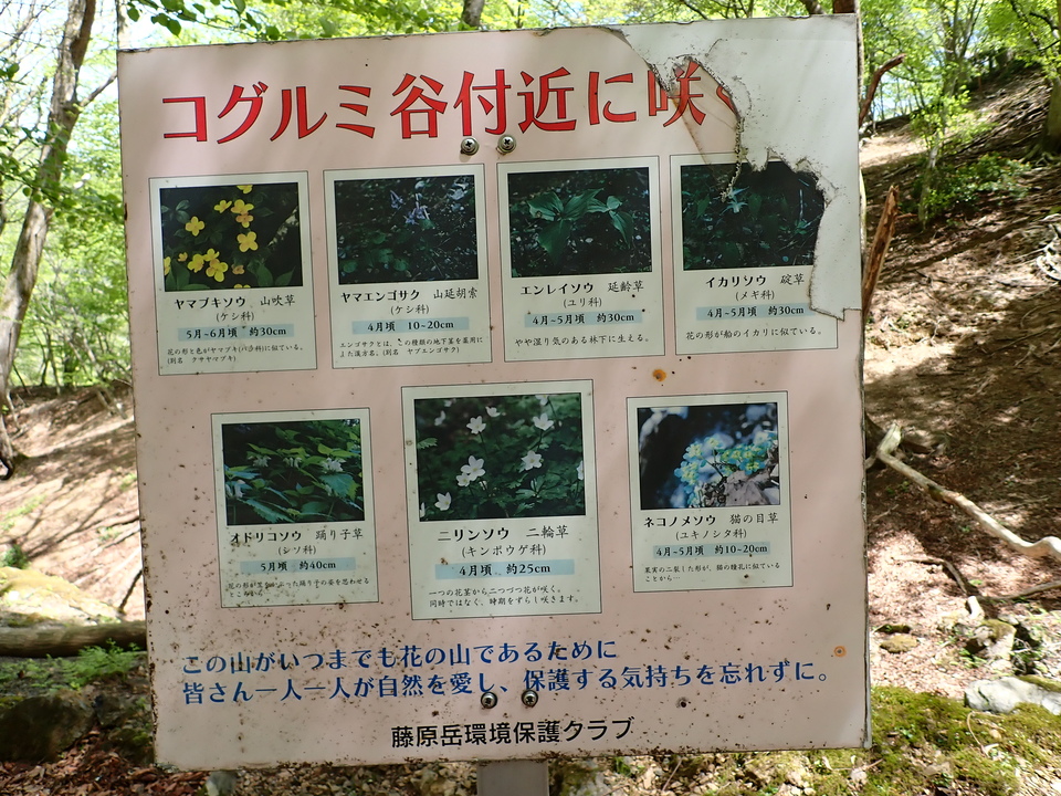 P5050850_mid.jpg