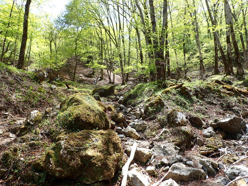 P5050852_mid.jpg