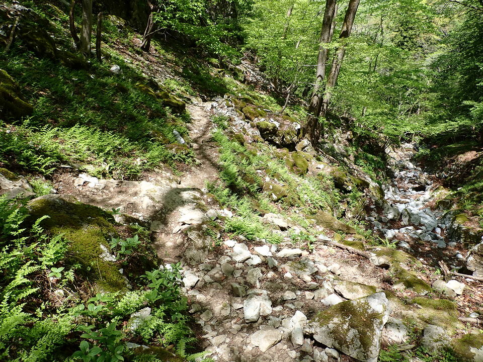 P5050857_mid.jpg